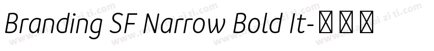 Branding SF Narrow Bold It字体转换